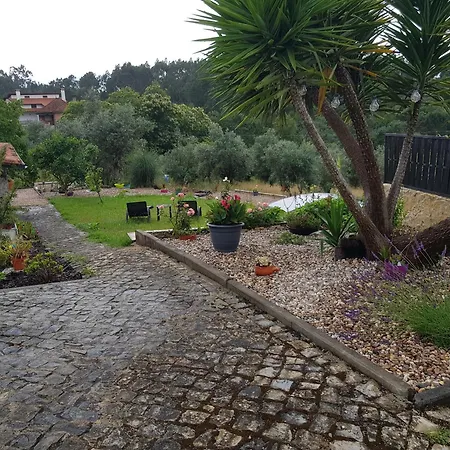 Domaine De La Quinta Fenix- Olivia