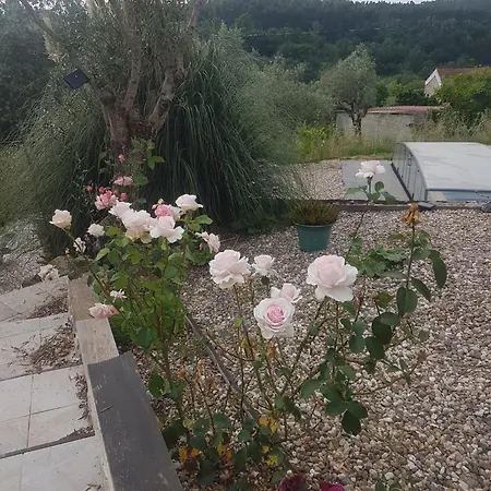 Domaine De La Quinta Fenix- Olivia 招待所