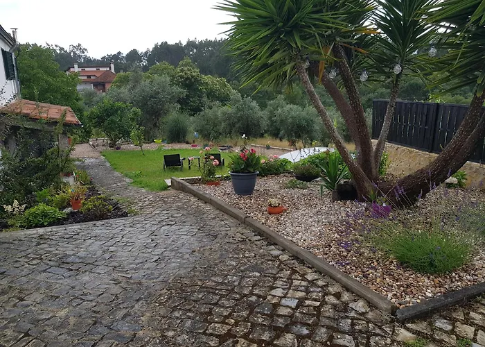 Domaine De La Quinta Fenix- Olivia