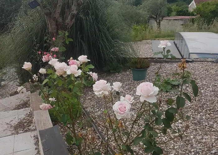 Domaine De La Quinta Fenix- Olivia Gæstehus