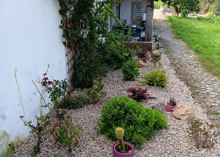 Domaine De La Quinta Fenix- Olivia Cerejeiras