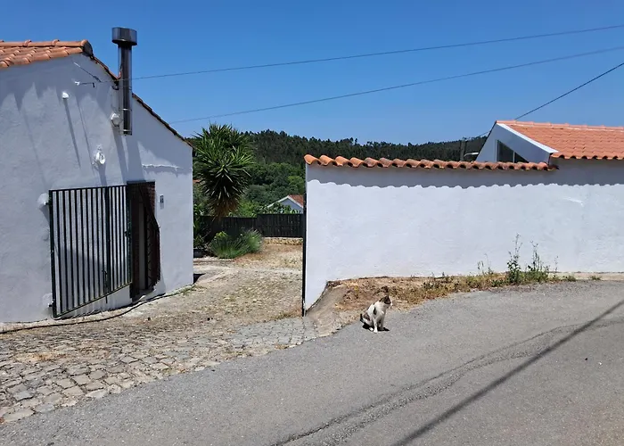 Domaine De La Quinta Fenix- Olivia *